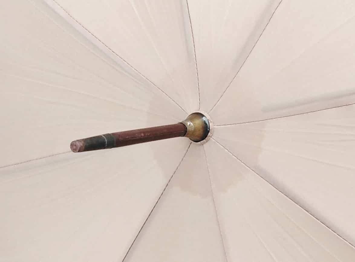 Vintage Paragon S. Fox And Co Umbrella With Cover